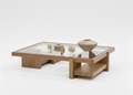 The Clear View Shelf Coffee table