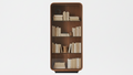 Book Shelves 4